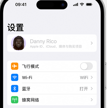 雷鸣镇appleID维修服务iPhone设置中Apple ID显示为灰色无法使用 