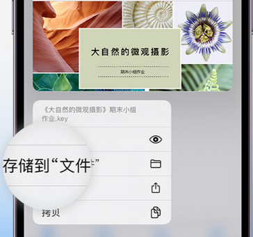 雷鸣镇apple维修中心分享iPhone文件应用中存储和找到下载文件