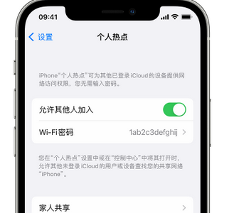 雷鸣镇apple服务站点分享iPhone上个人热点丢失了怎么办 