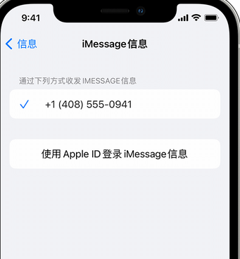 雷鸣镇apple维修iPhone上无法正常发送iMessage信息 