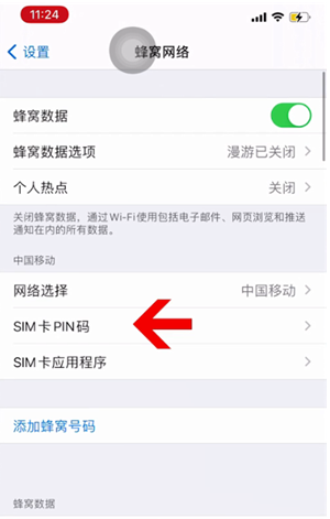 雷鸣镇苹果14维修网分享如何给iPhone14的SIM卡设置密码 