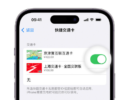 雷鸣镇apple维修点分享iPhone上更换Apple Pay快捷交通卡手绘卡面 