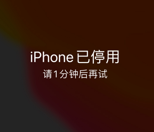 雷鸣镇苹果手机维修分享:iPhone 显示“不可用”或“已停用”怎么办？还能保留数据吗？ 