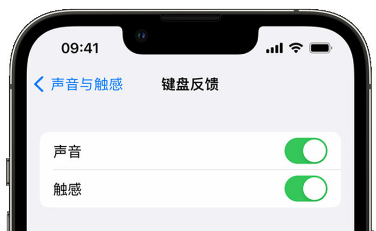 雷鸣镇苹果手机维修分享iPhone 14触感键盘使用方法 