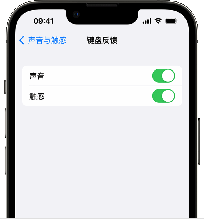 雷鸣镇苹果14维修店分享如何在 iPhone 14 机型中使用触感键盘 