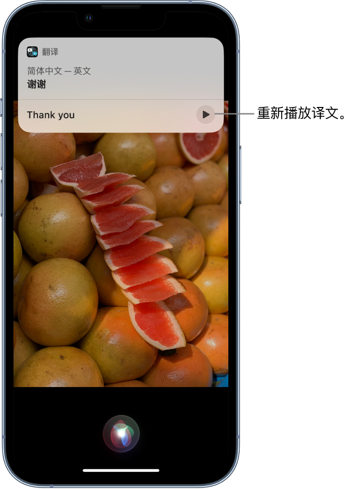 雷鸣镇苹果14维修分享 iPhone 14 机型中使用 Siri：了解 Siri 能帮你做什么 