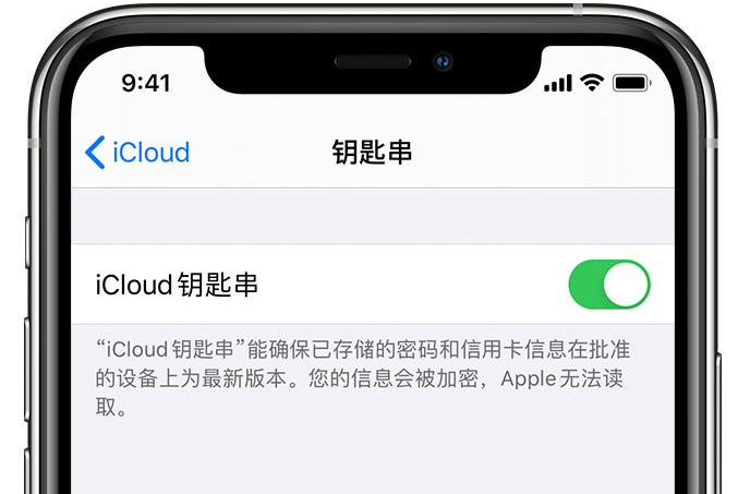 雷鸣镇苹果手机维修分享在 iPhone 上开启 iCloud 钥匙串之后会储存哪些信息 